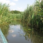 NATURA 2000 NAGRADZA NAJLEPSZE PRAKTYKI