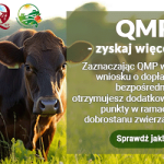 EKOSCHEMAT „DOBROSTAN ZWIERZĄT” DODATKOWE PIENIĄDZE DLA HODOWCÓW Z QMP – TYLKO DO 16 CZERWCA! EKOSCHEMAT „DOBROSTAN ZWIERZĄT” DODATKOWE PIENIĄDZE DLA HODOWCÓW Z QMP – TYLKO DO 16 CZERWCA!